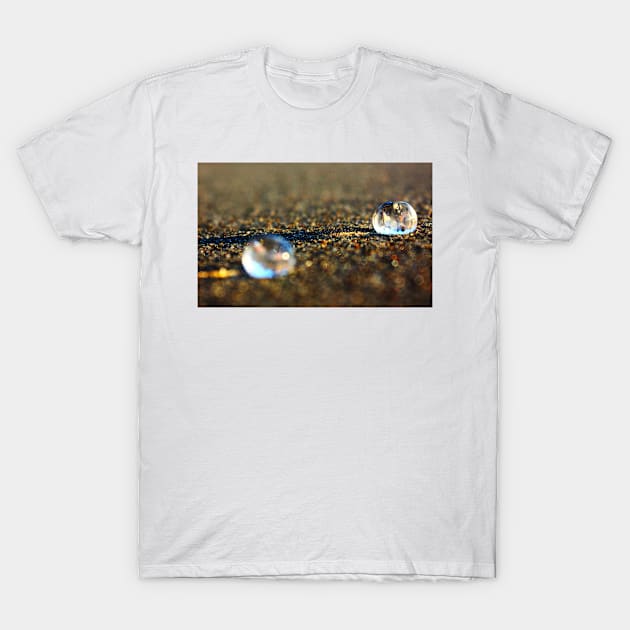 Hatching II. San Francisco, Lincoln Park Beach T-Shirt by IgorPozdnyakov